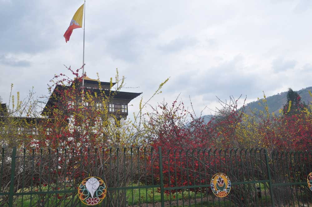 The best time to visit Bhutan is March, April and May when flowers bloom.
