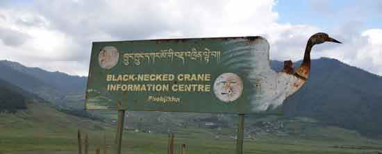 The black-necked crane information centre.