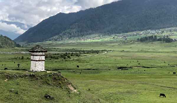 Gangtey festival tour includes visit to Phobjikha valley